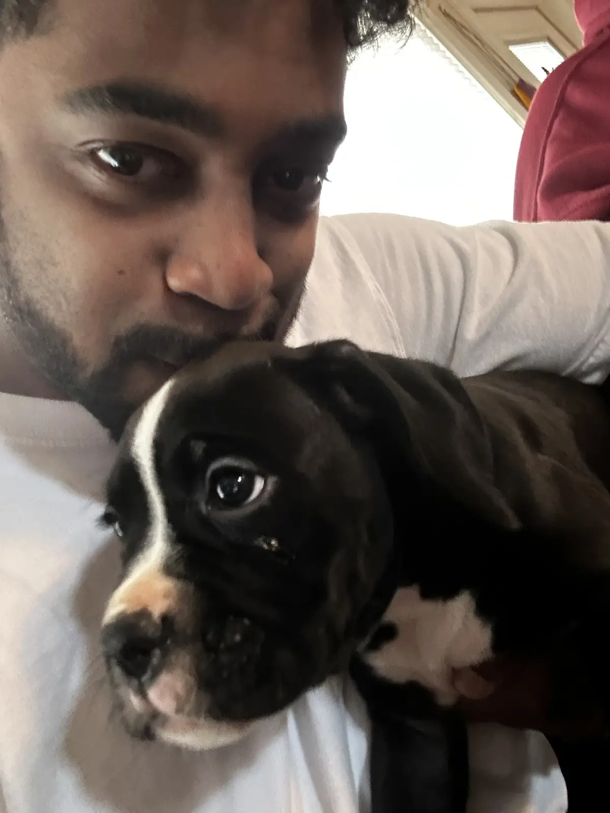 A person in a white shirt holds a black and white puppy close to their face, nuzzling it gently. The puppy, with large…