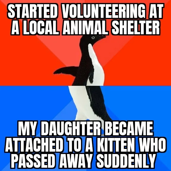 A penguin stands centered against a red and blue background, split horizontally. The top text reads 'STARTED VOLUNTEERING AT…