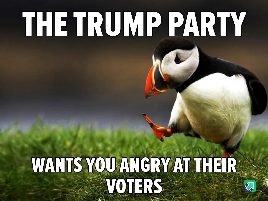 A photograph of a puffin standing on green grass, looking down with one foot lifted, overlaid with bold white text reading…