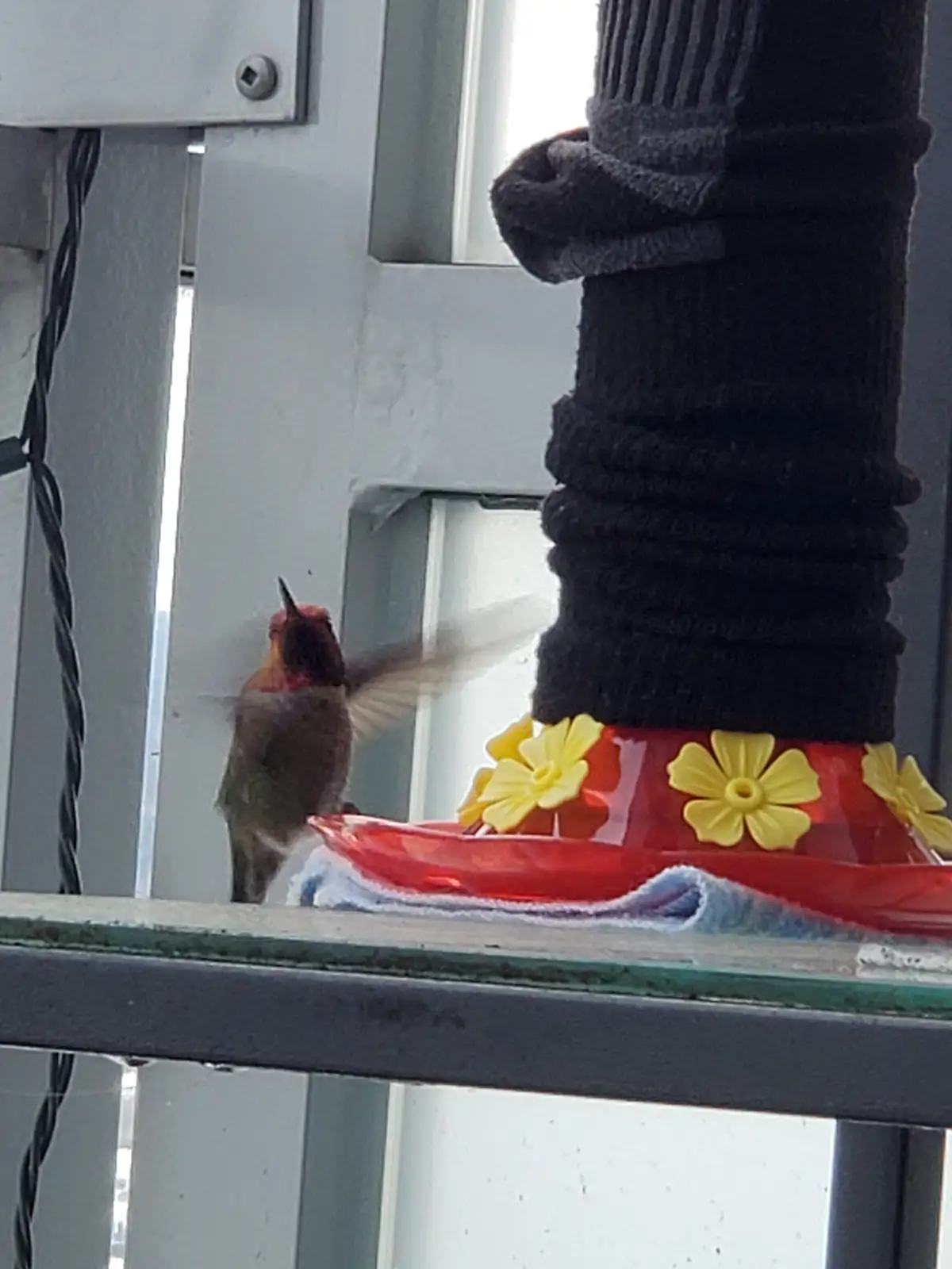 A small hummingbird with a red head and brown body hovers near a red plastic hummingbird feeder decorated with yellow…