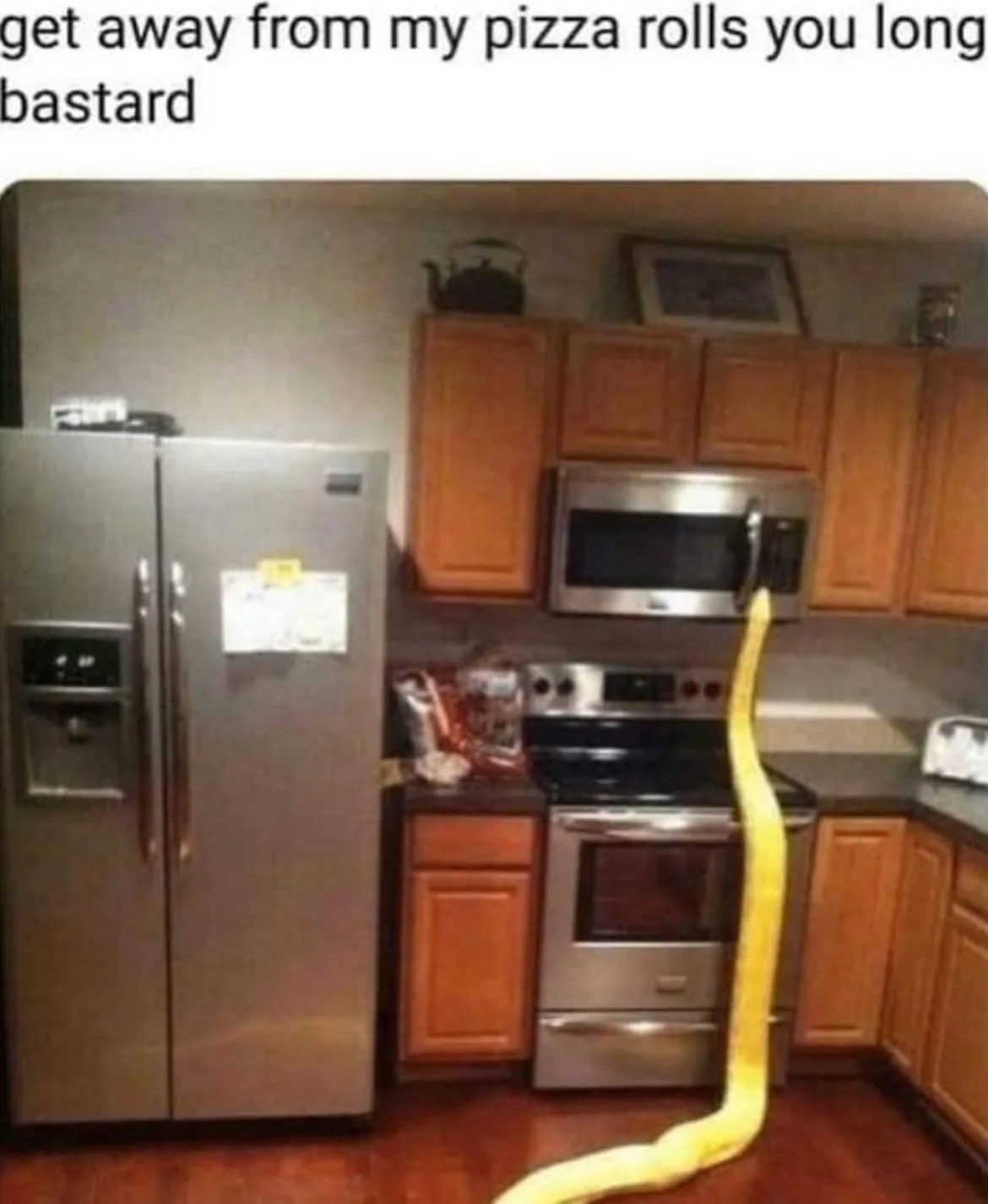 A kitchen with wooden cabinets, stainless steel appliances including a refrigerator and stove, and a long yellow snake…