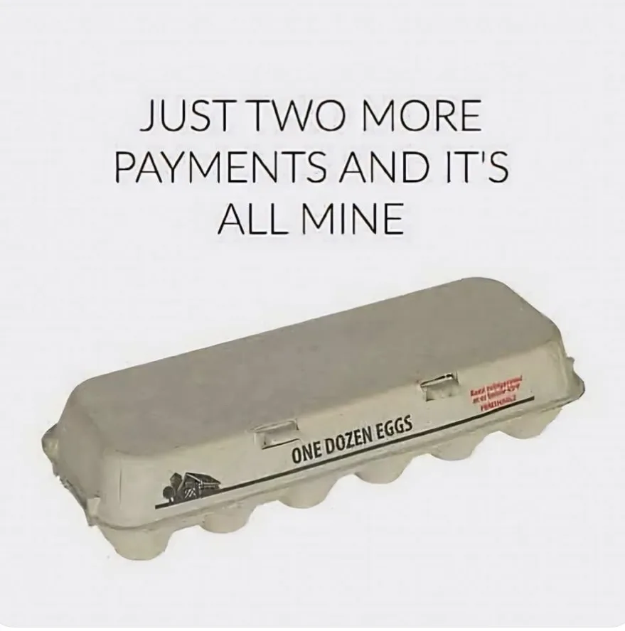 A plain cardboard egg carton labeled 'ONE DOZEN EGGS' is shown against a white background. Overlaid text in bold, black…