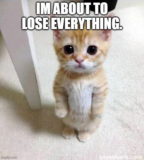 A small orange tabby kitten stands upright on its hind legs on a light-colored carpet, looking directly at the camera with…