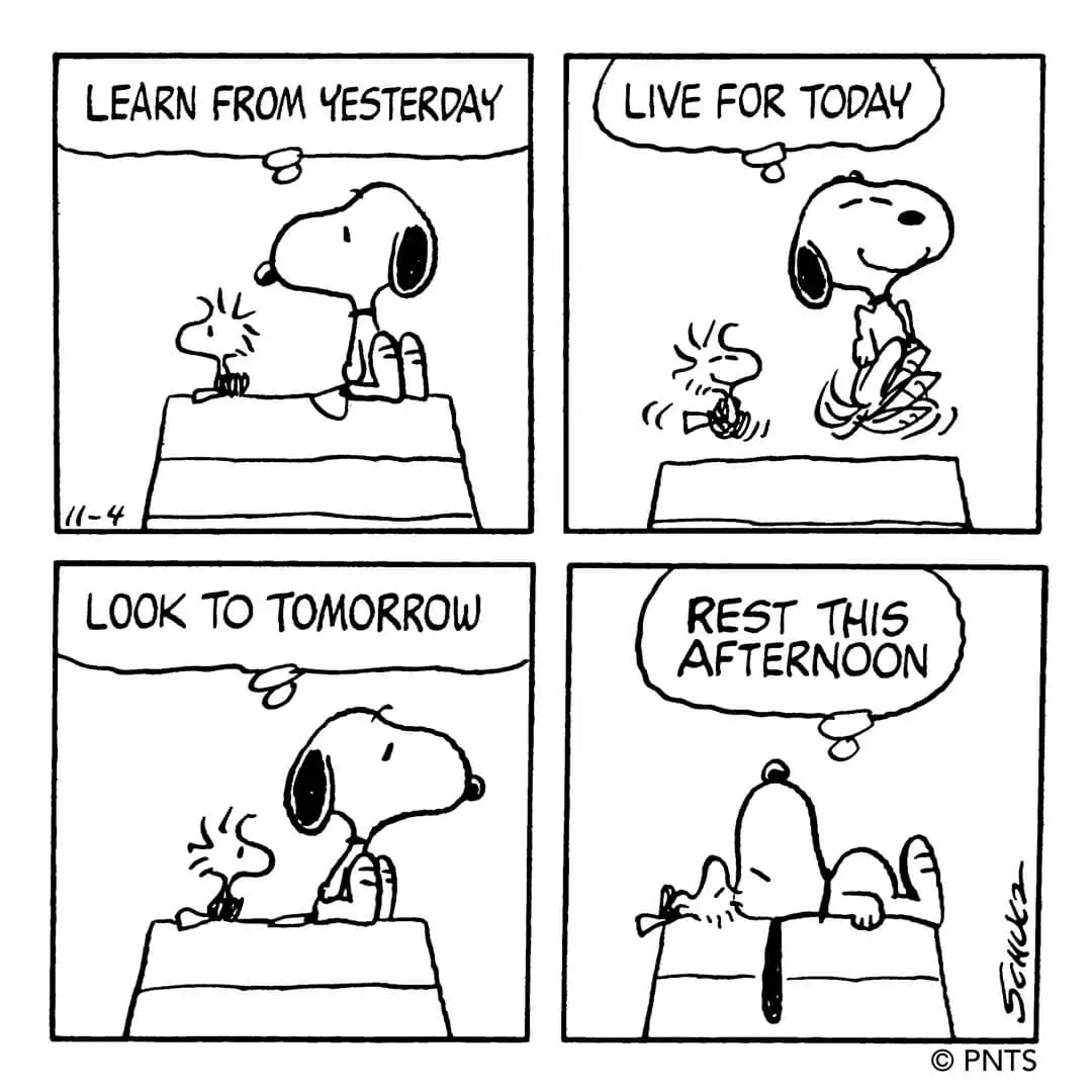 Snoopy's Wisdom: Life Lessons from a Beloved Beagle