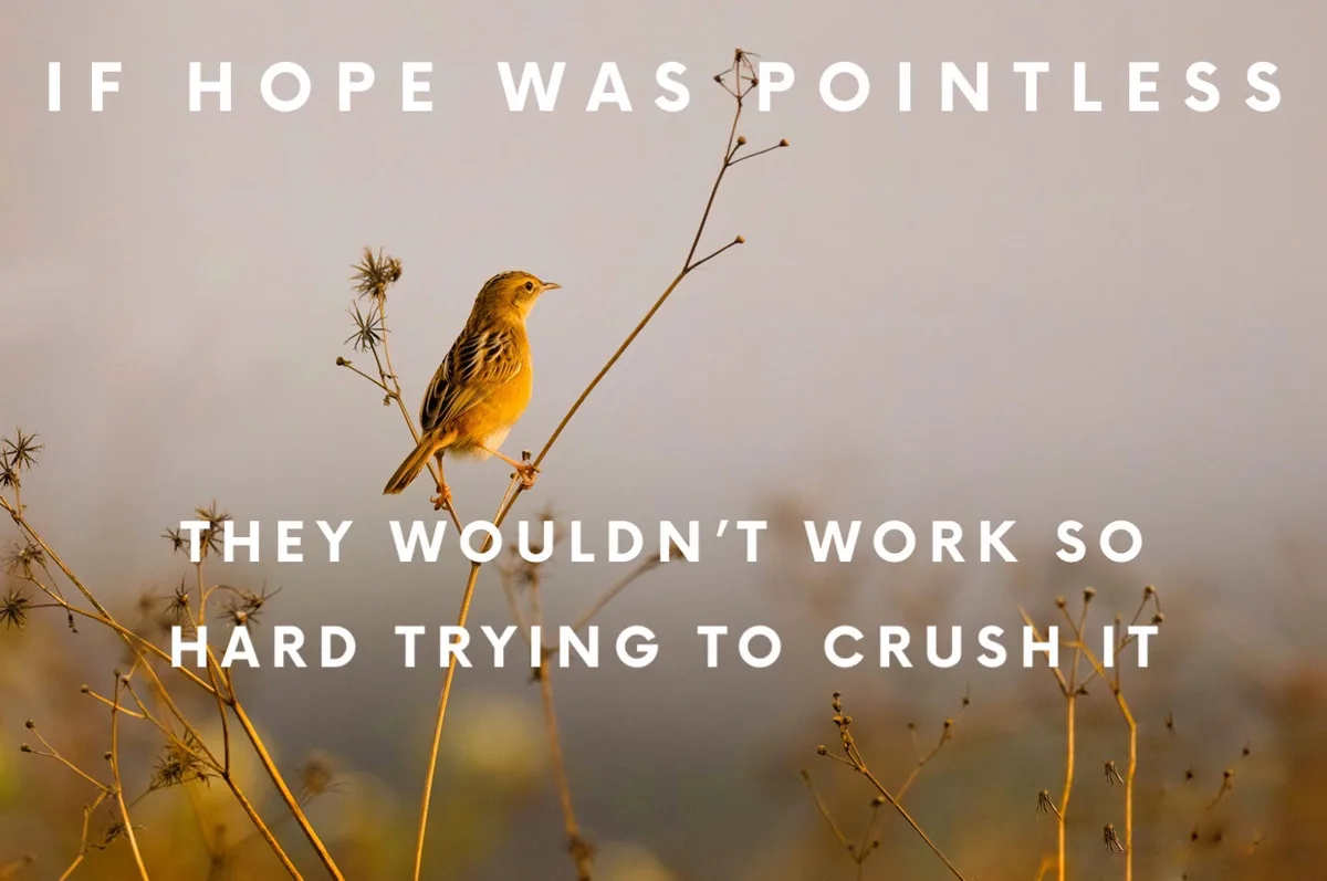 A small bird perched on a thin, dry plant stem against a soft, hazy background. White, bold, uppercase text is overlaid in…