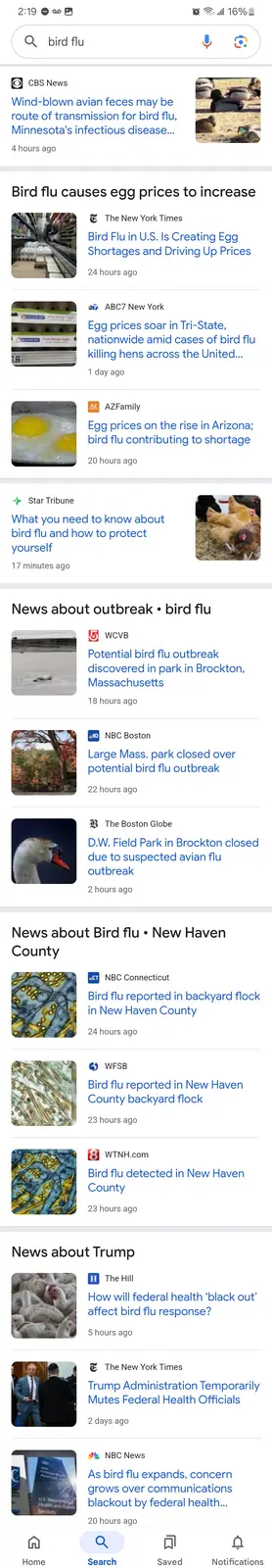A smartphone screen shows Google search results for 'bird flu,' with news articles about egg shortages and outbreaks in…