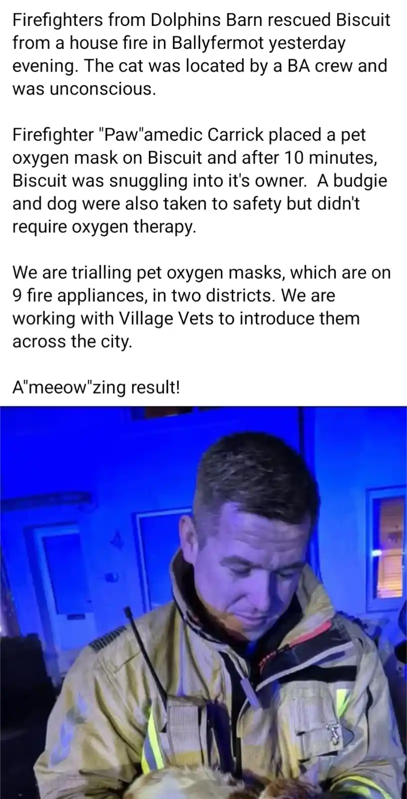 A firefighter in a yellow turnout coat holds a cat while looking down at it with a gentle expression. The image is overlaid…