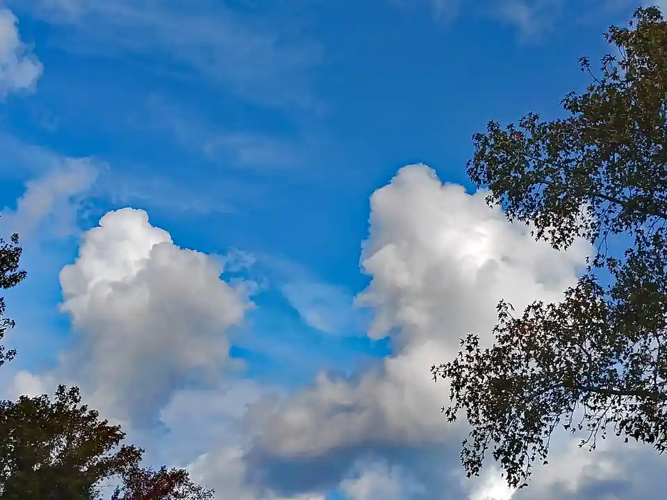 A bright blue sky with fluffy white clouds, where two large clouds are shaped to resemble a dog and a cat, framed by tree…