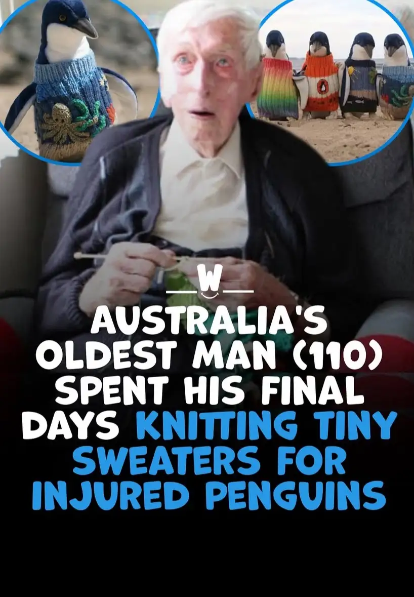 An elderly man with white hair and a surprised expression sits knitting, surrounded by circular insets showing penguins…