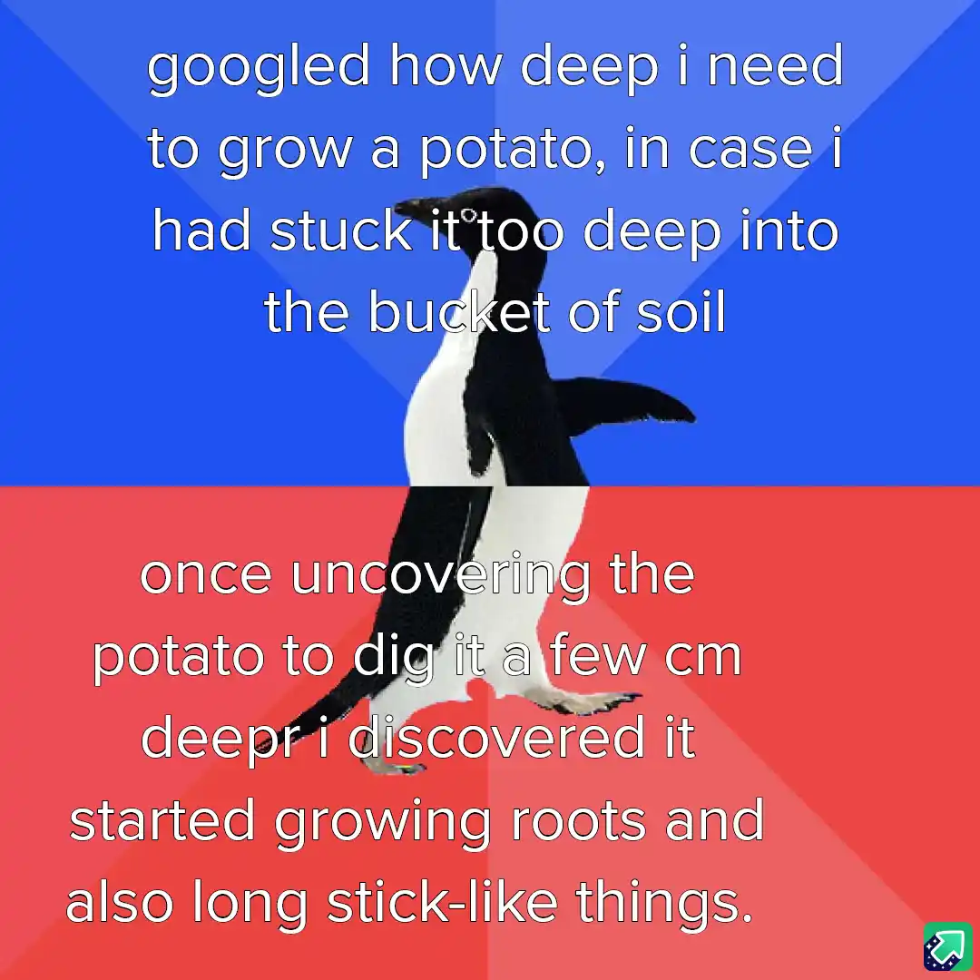A penguin image split into two sections, blue on top and red on bottom, with white text overlaid. The top text says 'googled…