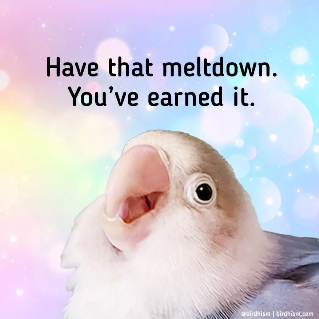 A close-up of a light-colored lovebird with its beak open, set against a pastel rainbow gradient background with bokeh…