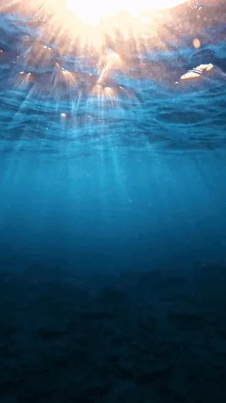 The image displays six vertical panels showing underwater scenes with sunlight rays penetrating the water's surface…