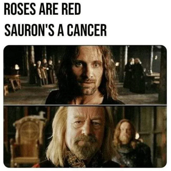 The image is a two-panel meme featuring actor Viggo Mortensen as Aragorn from 'The Lord of the Rings' in the top panel…