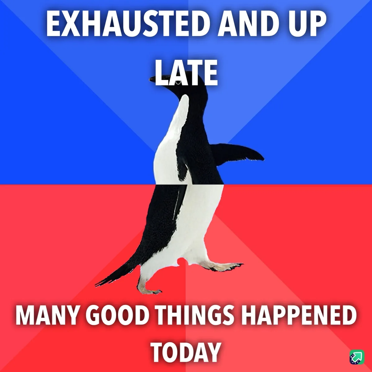 A black-and-white penguin stands centered against a blue and red diagonal background. White bold text at the top reads…