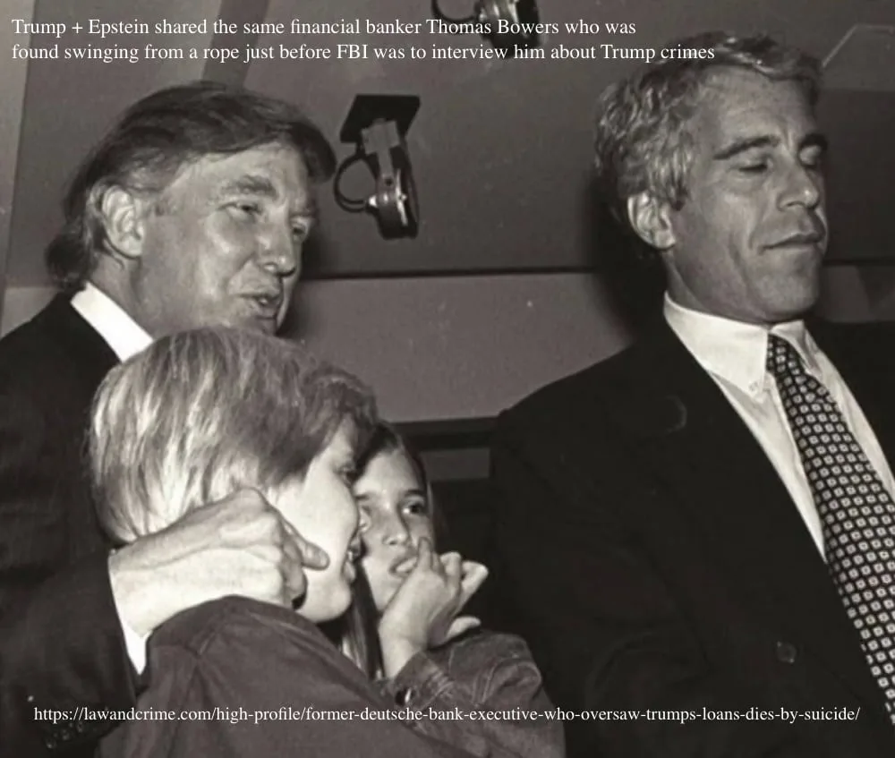 A black-and-white photo shows Donald Trump on the left, hugging a child, with Jeffrey Epstein on the right, both in suits. A…