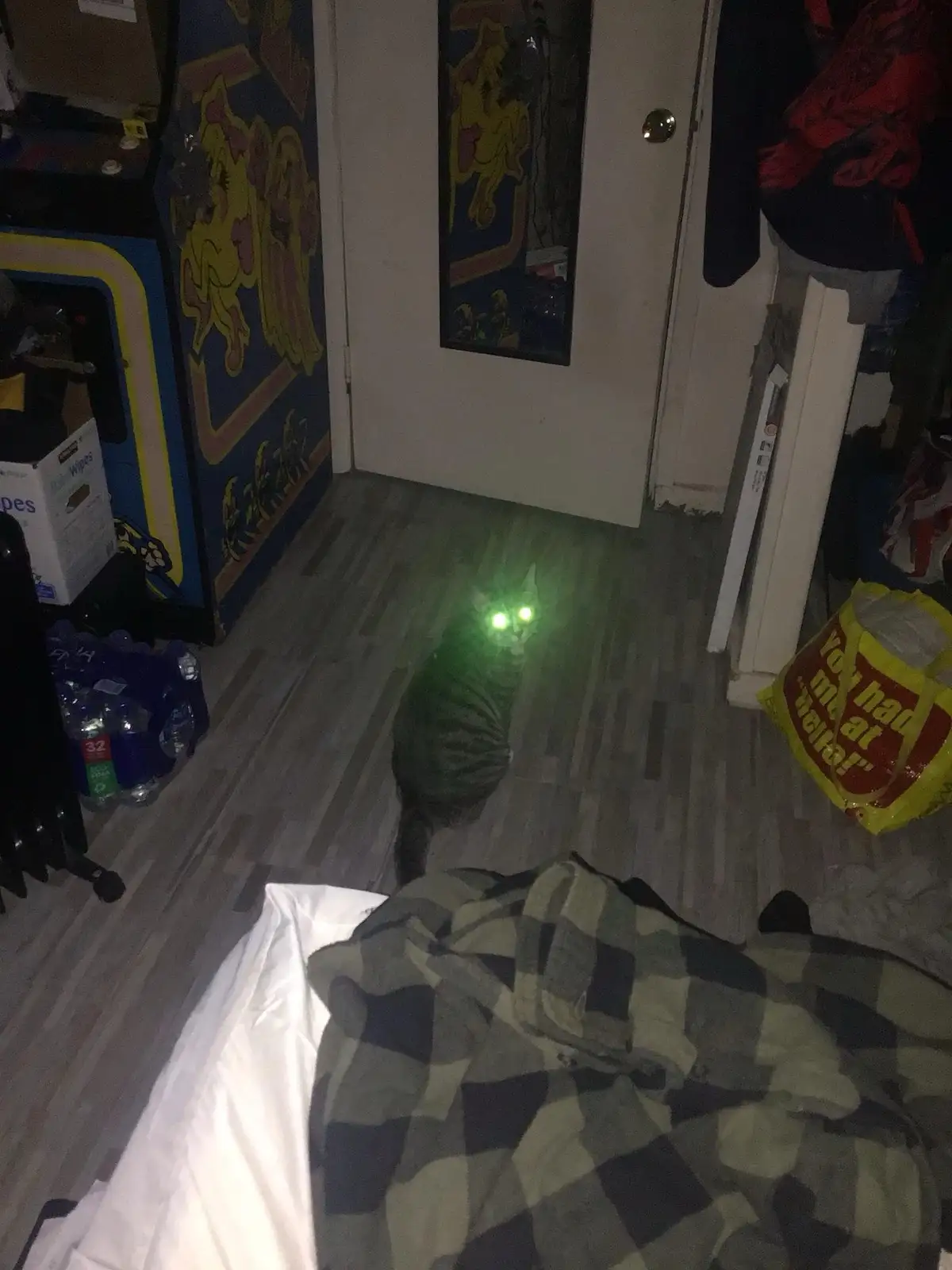 A tabby cat sits on a wooden floor in a dimly lit room, its eyes glowing bright green from a camera flash. The image is…