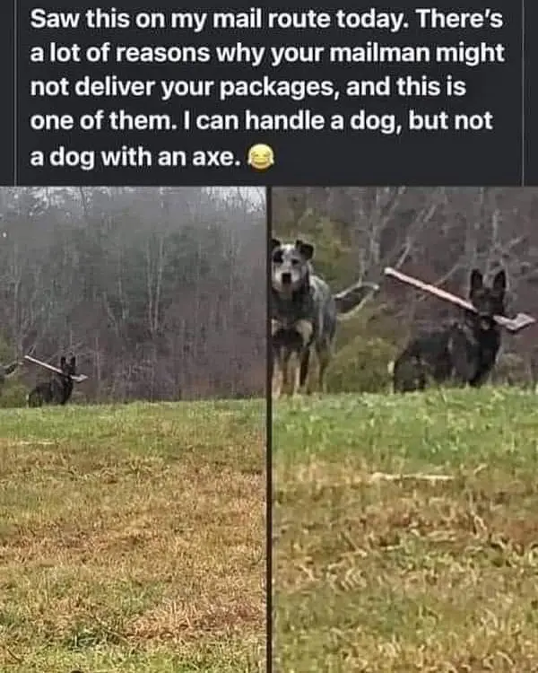 Meet Axe Dog: The Ultimate Companion