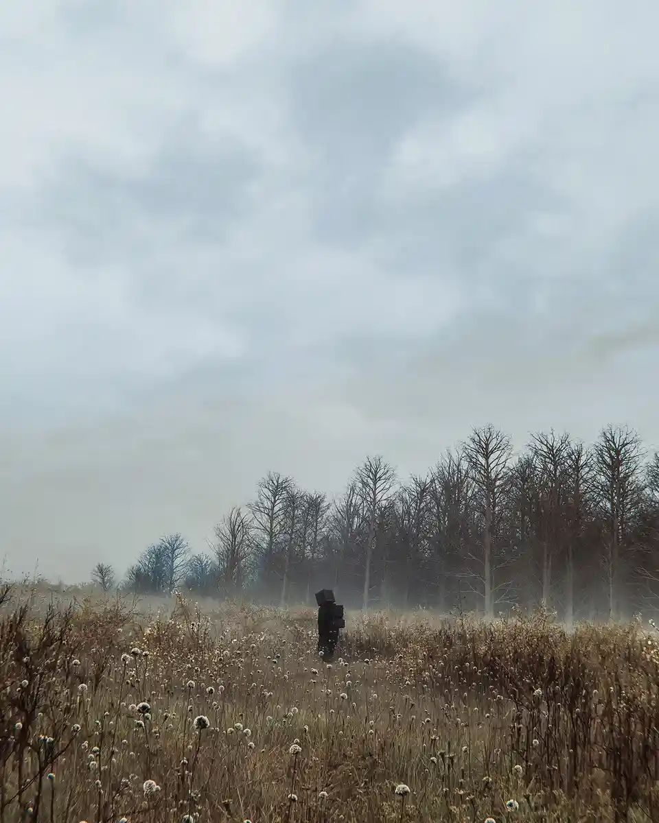 Exploring the Intricacies of a Rank 14 Field by Huleeb