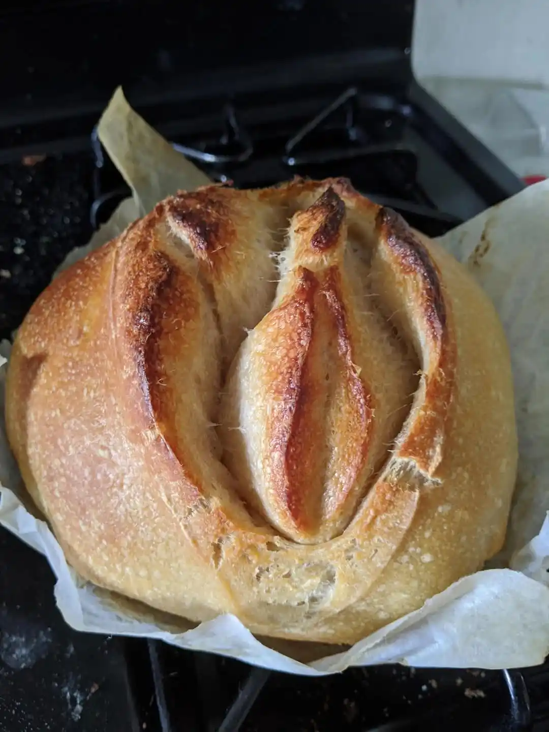 A round, golden-brown loaf of bread with a scored top sits on parchment paper atop a stovetop. The scoring creates a…