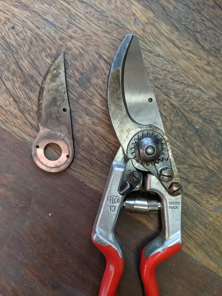 The Ultimate Guide to Felco Pruners