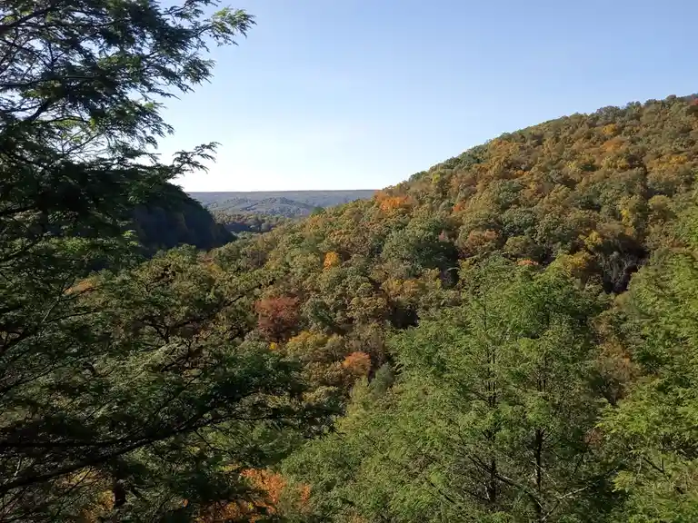 A scenic autumn forest view with rolling hills covered in green, orange, and yellow foliage under a clear blue sky, with…