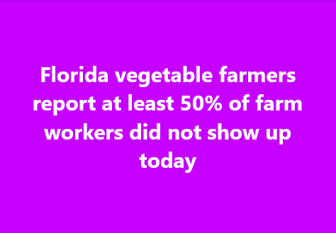 A solid purple background with white text centered that reads 'Florida vegetable farmers report at least 50% of farm workers…