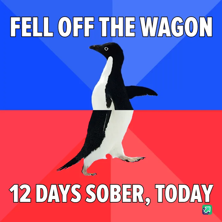 A penguin stands centered against a blue and red background, with the text 'FELL OFF THE WAGON' at the top and '12 DAYS…