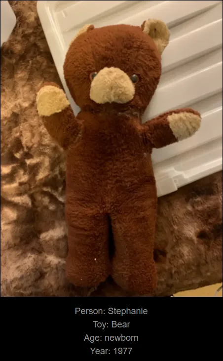 A brown plush teddy bear with tan snout and paws stands upright on a furry brown surface, with white slatted furniture…