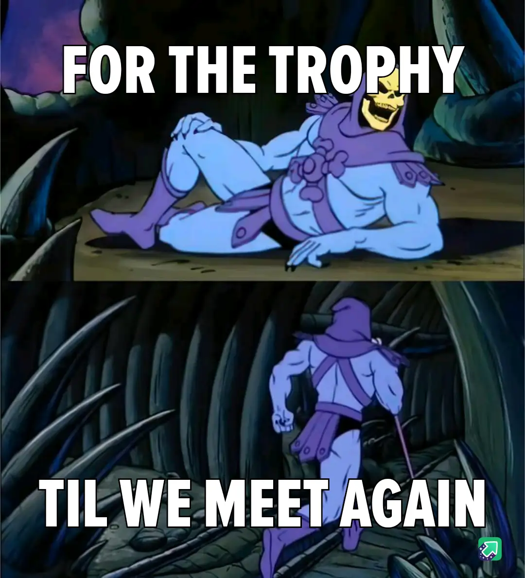 The meme features two panels from the animated series 'He-Man and the Masters of the Universe'. In the top panel, Skeletor…