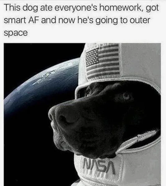 A black-and-white image shows a dog wearing a NASA astronaut helmet with an American flag patch, looking out into space with…