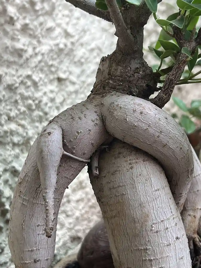How the Internet Completely Altered My Thought Process