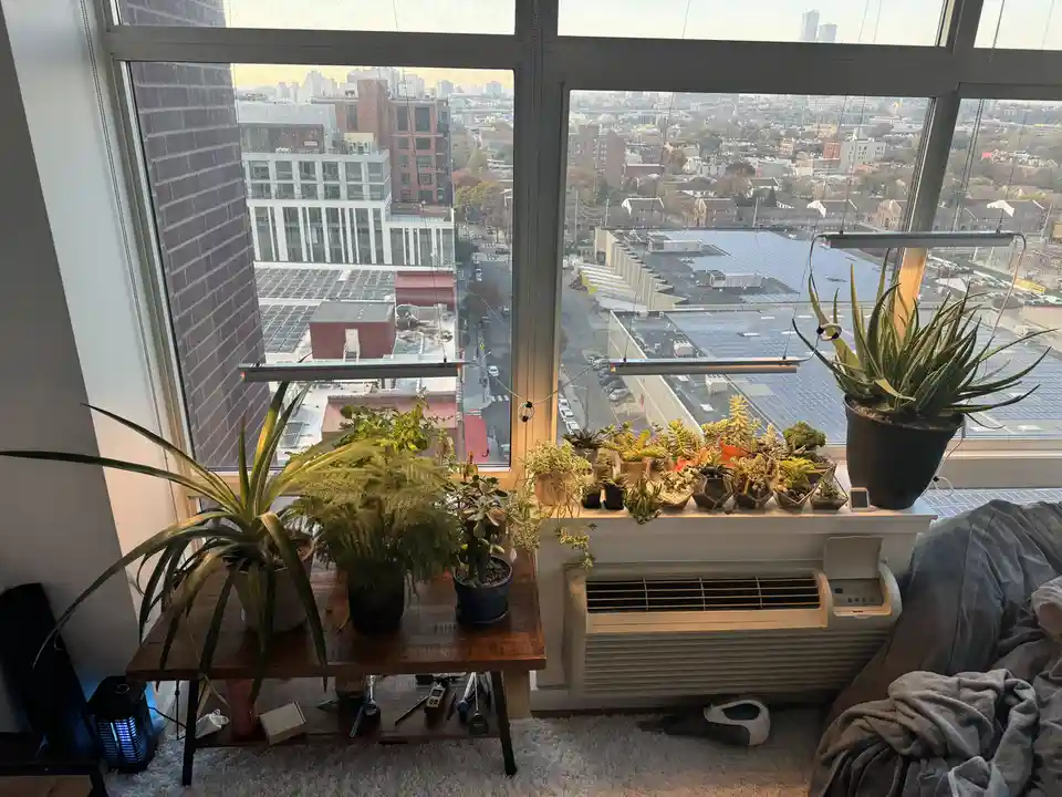 A room with a large window overlooking a cityscape, featuring numerous potted plants arranged on the windowsill and a wooden…