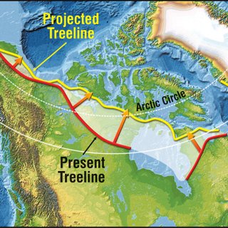 A map of the Arctic and northern North America shows a red line labeled 'Projected Treeline' extending northward beyond the…