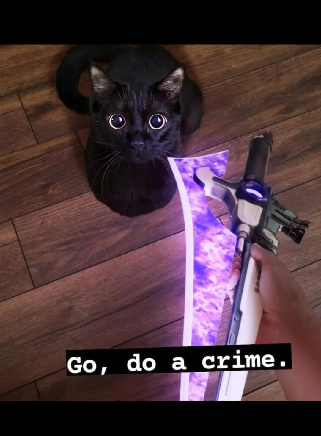 A black cat with wide, startled eyes sits on a wooden floor, looking up at a person holding a large, glowing purple sword…