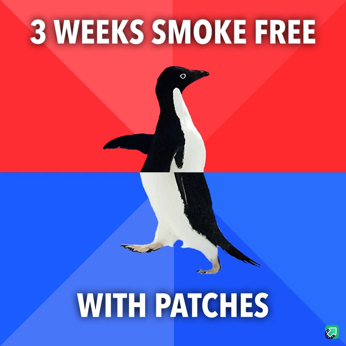 A penguin stands centered against a red and blue background, with the text '3 WEEKS SMOKE FREE' at the top and 'WITH…