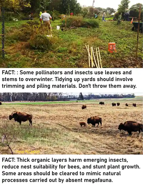 The image is a two-panel meme. The top panel shows people gardening in a yard, with text stating that some insects use…