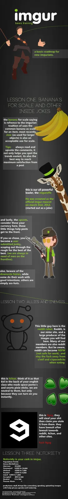 An Imgur infographic titled 'basic training' for new users, featuring cartoon illustrations and text explaining platform…
