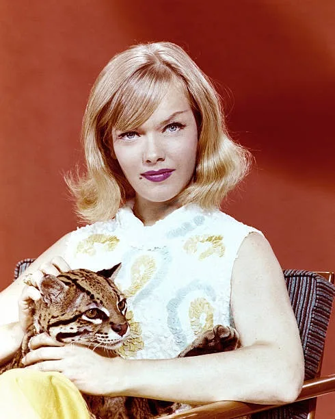 A vintage studio portrait shows a blonde woman in a white patterned top holding a small wild cat, possibly a margay, against…