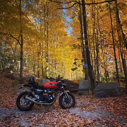 A red Triumph Speed Twin motorcycle is parked on a gravel path covered in fallen autumn leaves, surrounded by trees with…