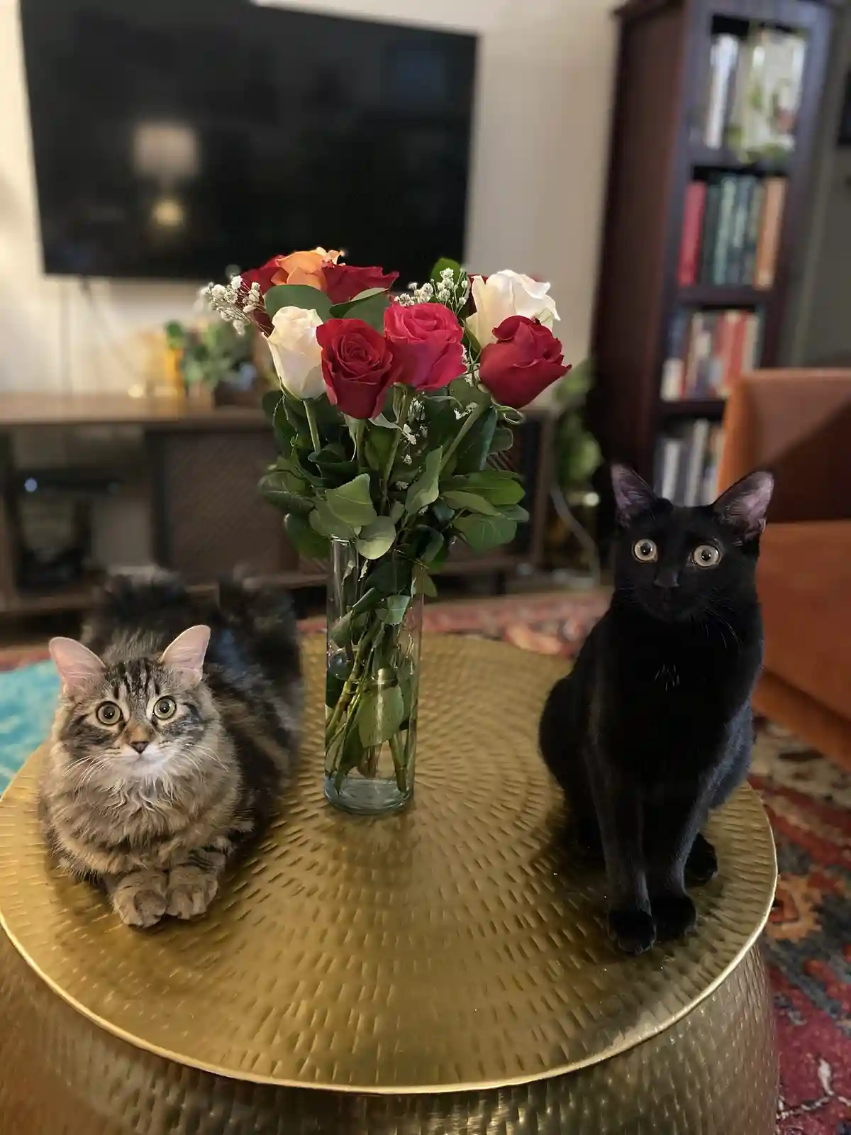 Two cats sit on a golden table beside a vase of red, white, and orange roses. One is a fluffy tabby on the left, the other a…