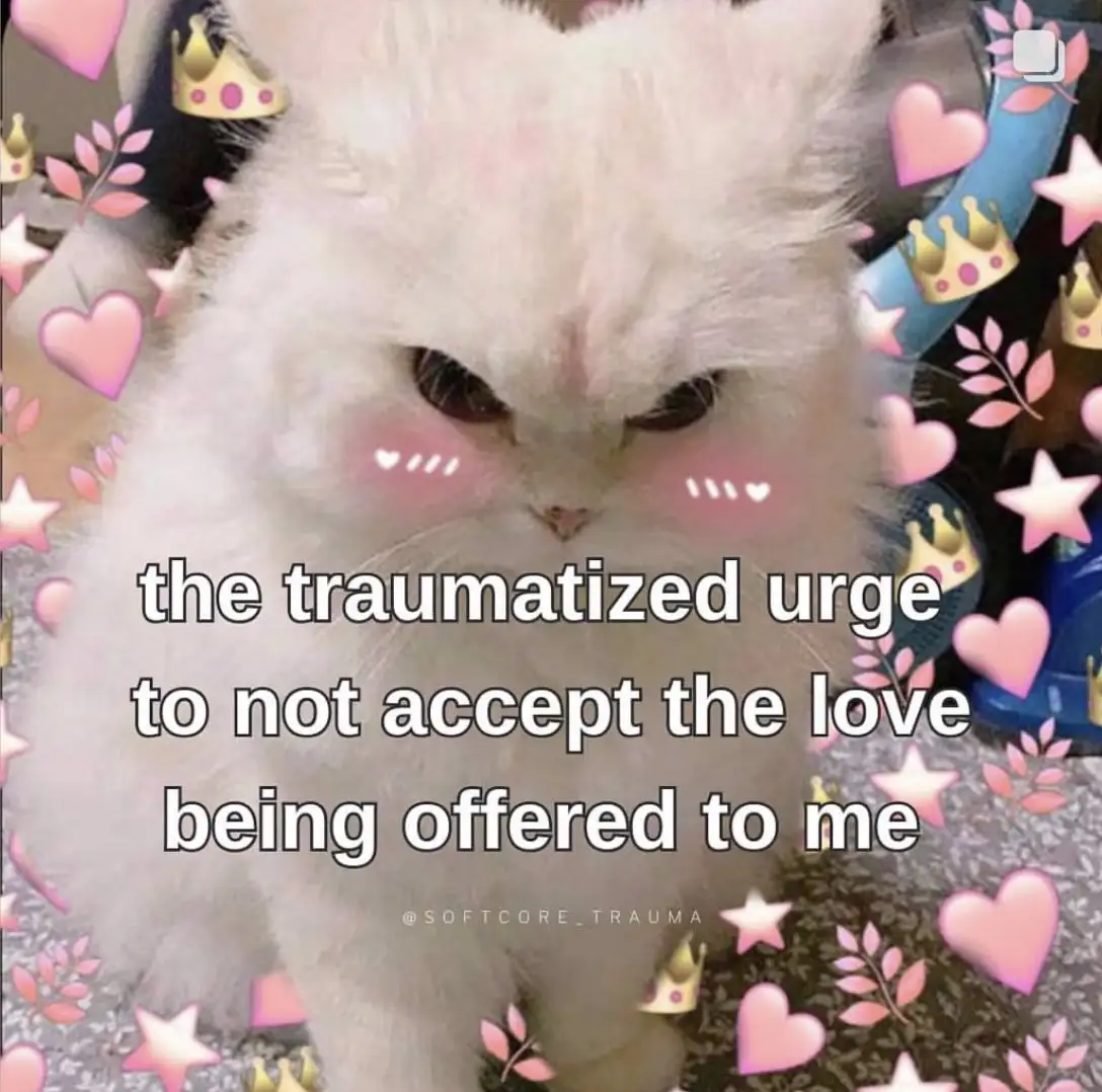 A fluffy white cat with a sad, downward-looking expression is surrounded by pink hearts, stars, and small crowns. The text…