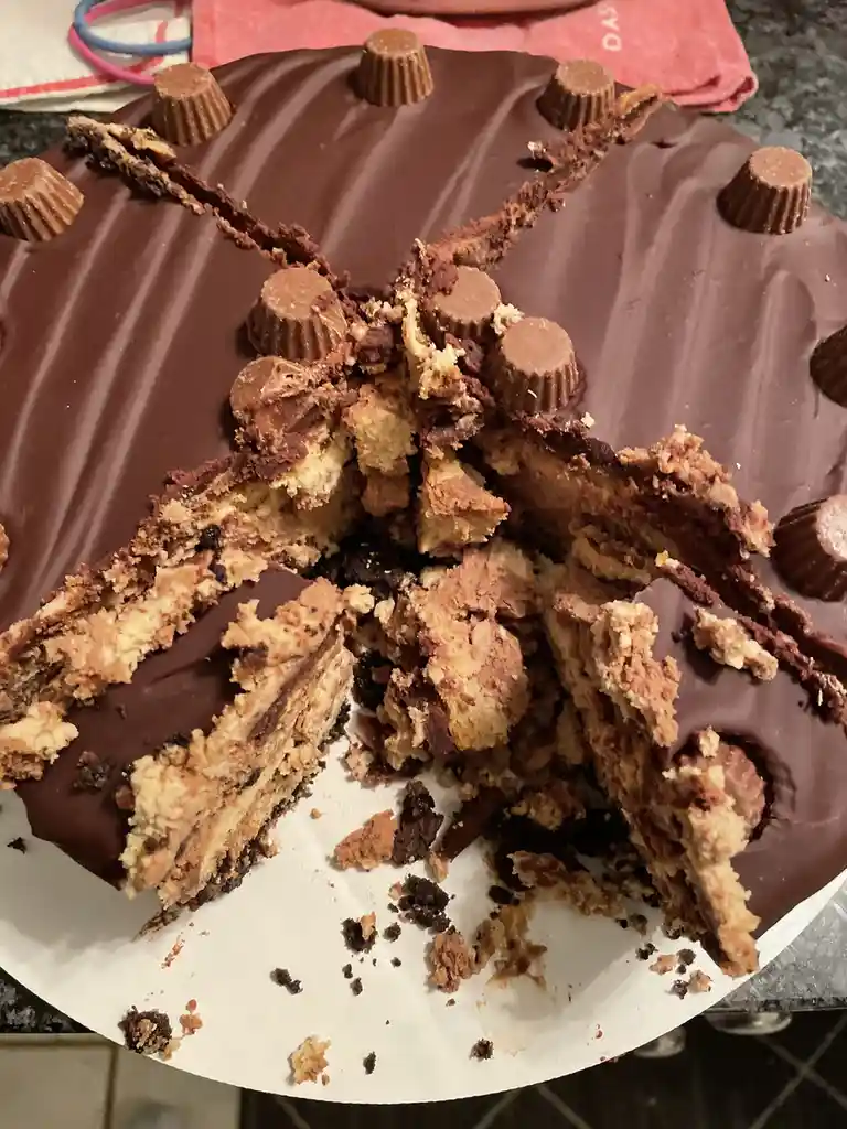 A chocolate-frosted cake decorated with peanut butter cup toppers is shown with a large, messy slice missing, revealing its…