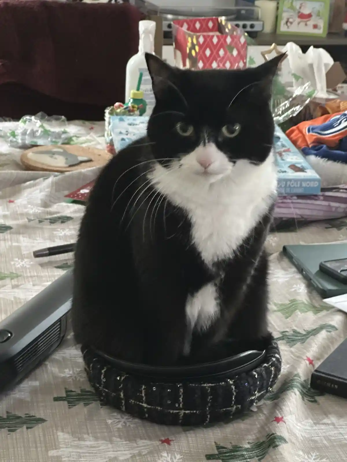 A black and white cat sits upright on a small black purse placed on a cluttered table covered with a Christmas-themed…