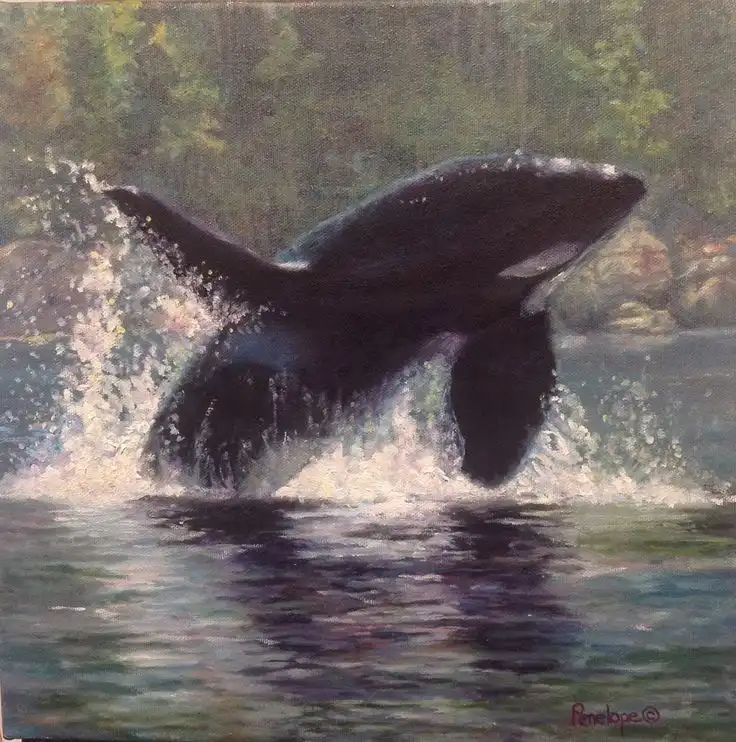 Majestic Orca Moments