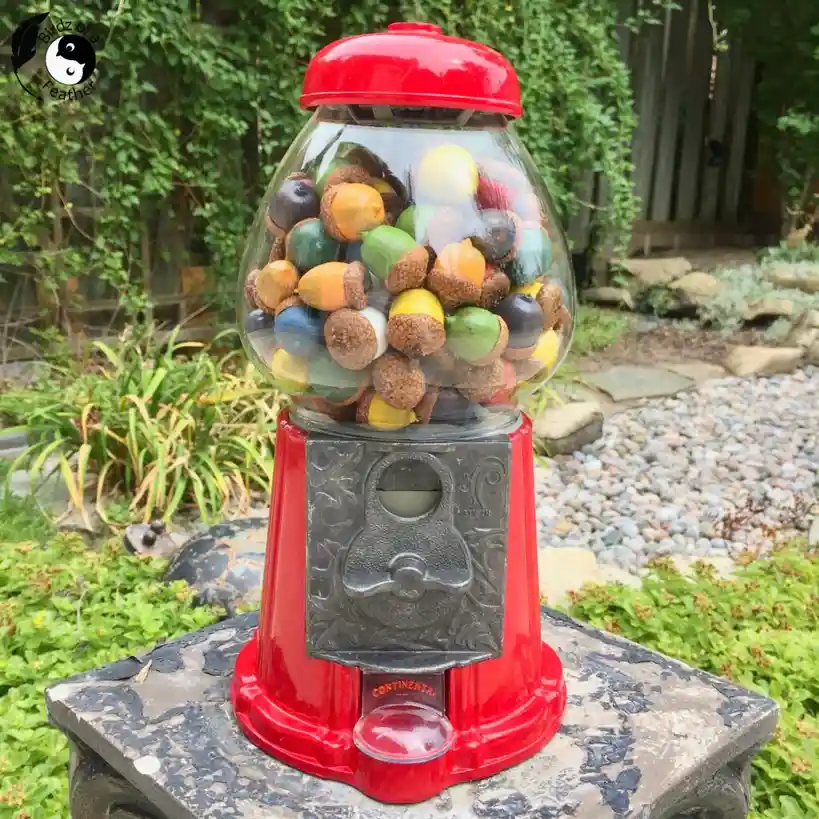 A vintage red gumball machine sits outdoors on a stone pedestal, filled not with candy but with colorful painted acorns. The…