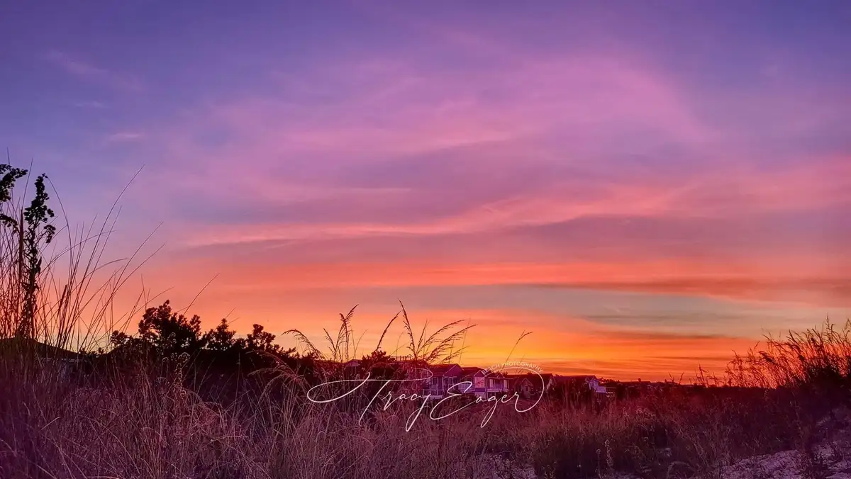 A vibrant sunset photograph shows a gradient sky transitioning from deep purple to fiery orange, silhouetting beach grass…