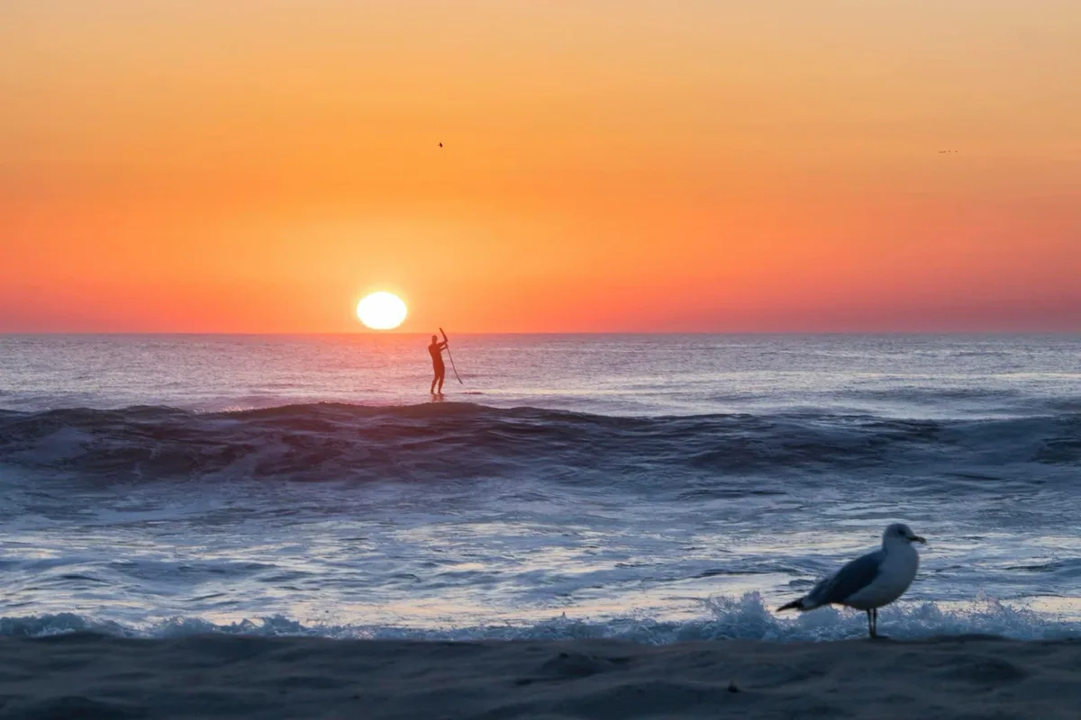 A serene sunset photo shows a silhouetted person paddleboarding on the ocean with the sun low on the horizon. In the…
