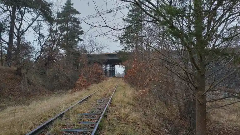 A photo of a railway track running through a wooded, autumnal area toward a bridge, with a construction crane visible in the…