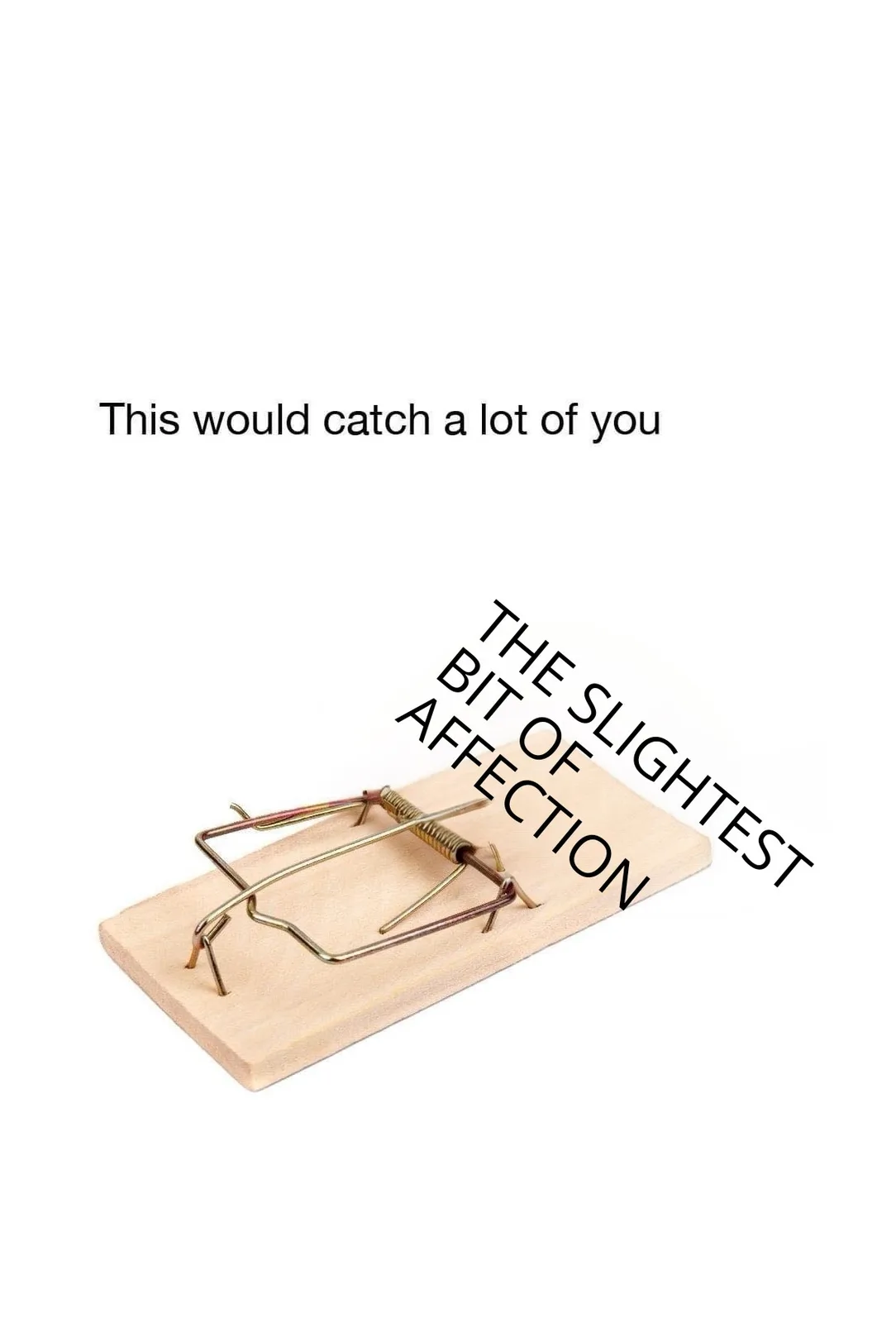 A standard wooden mousetrap is shown against a plain white background. Text overlaid on the image reads 'This would catch a…