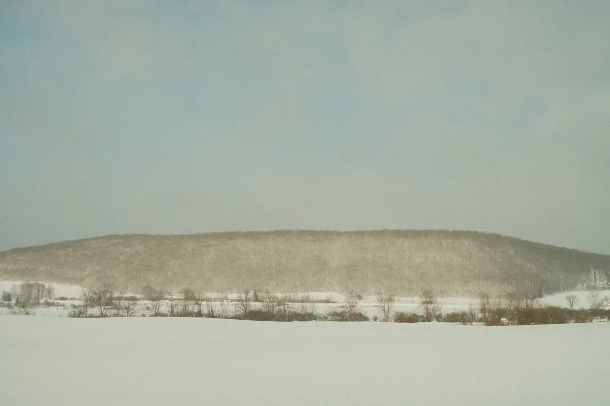 A wide, snowy landscape with a distant forested hill under a pale sky, overlaid with the text 'i'm not lazy, i'm in…
